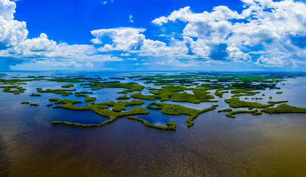 Everglades City to Chokoloskee Bay